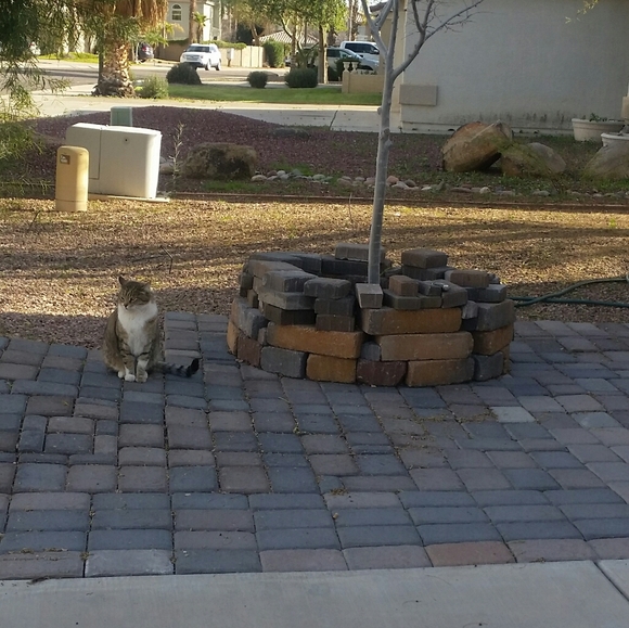 🎍Happy 2024 year of the 🪵 dragon 🎋🎍🎉 - Picture 9 of 17